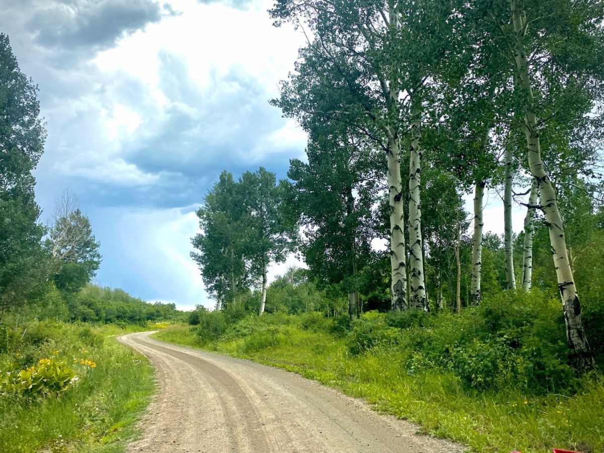 Buckles Lake Road - FS 663 photo 4