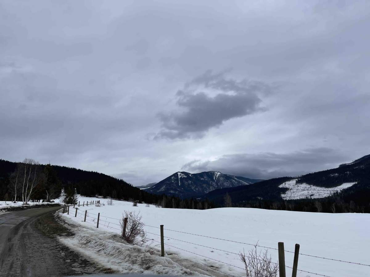 Silver Hills Road photo 4
