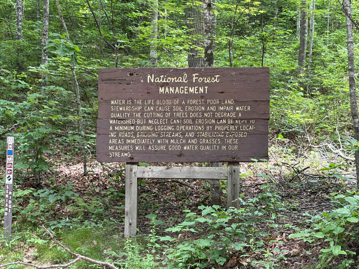 Headwater photo 6
