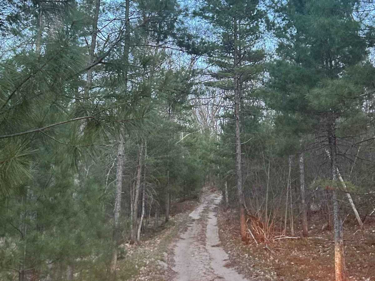 Rennie Lake photo 2
