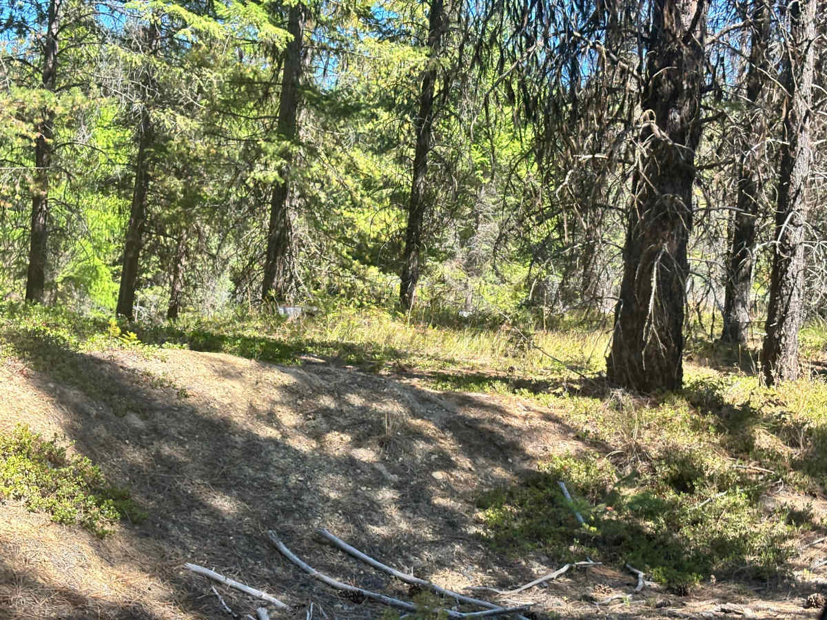 Quartz Meadows photo 5