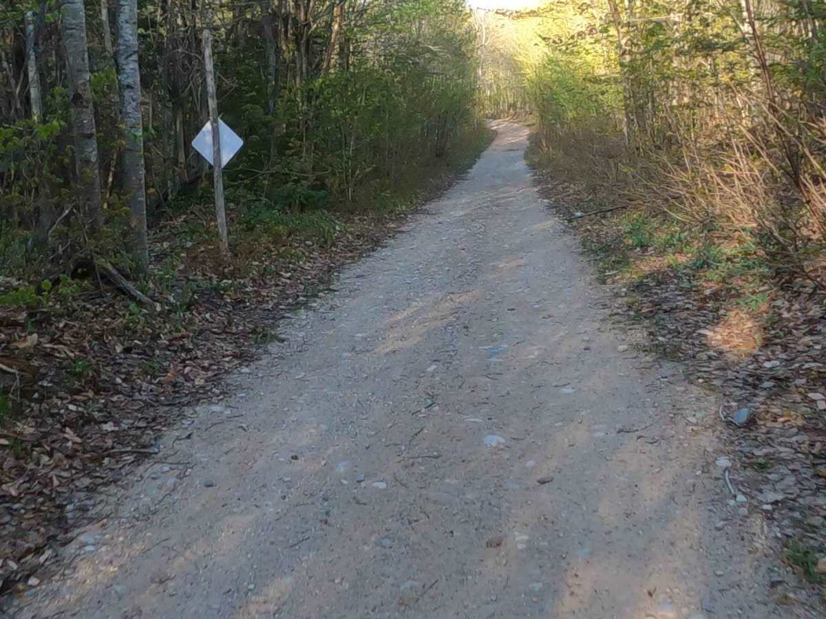 North Brumm Road trail photo
