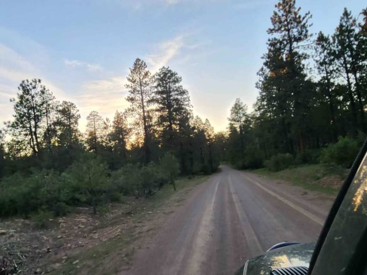 Boggy Draw Road photo 6