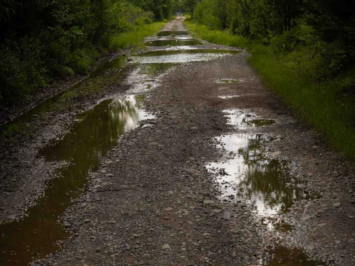 Nepisiguit (Grand) Falls River Trail photo 6