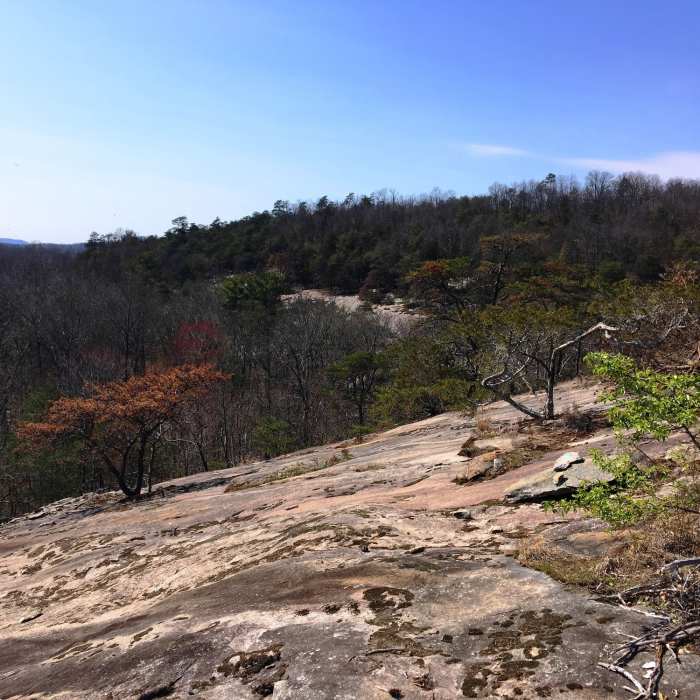 Near Vertical Mile Challenge Loop