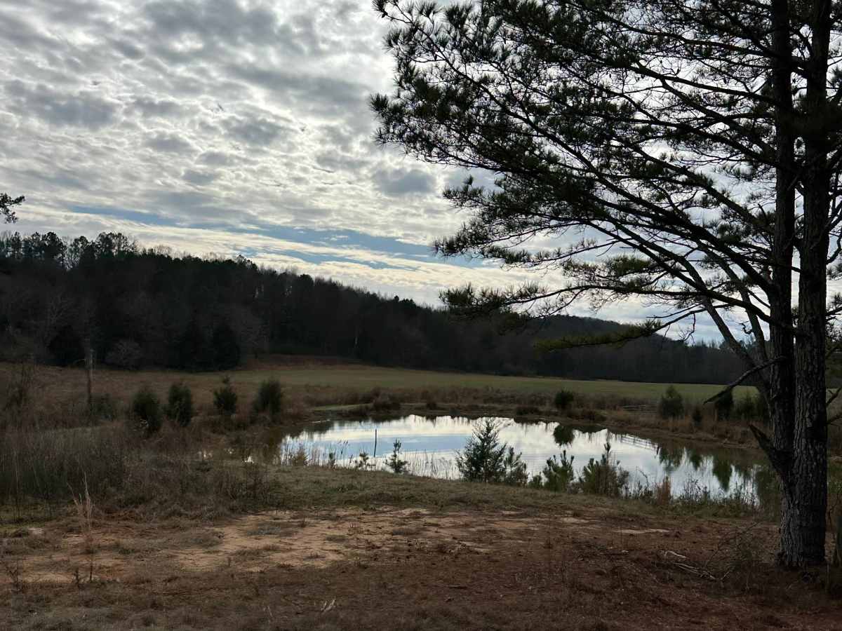 County Road 223 trail photo