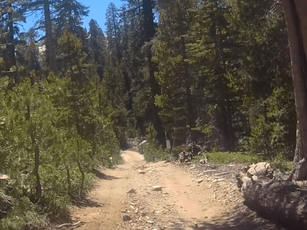 Powder Hill - FS 26e330 photo 3
