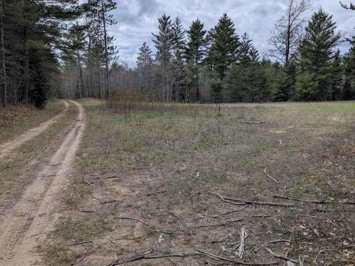Reserve Loop photo 6