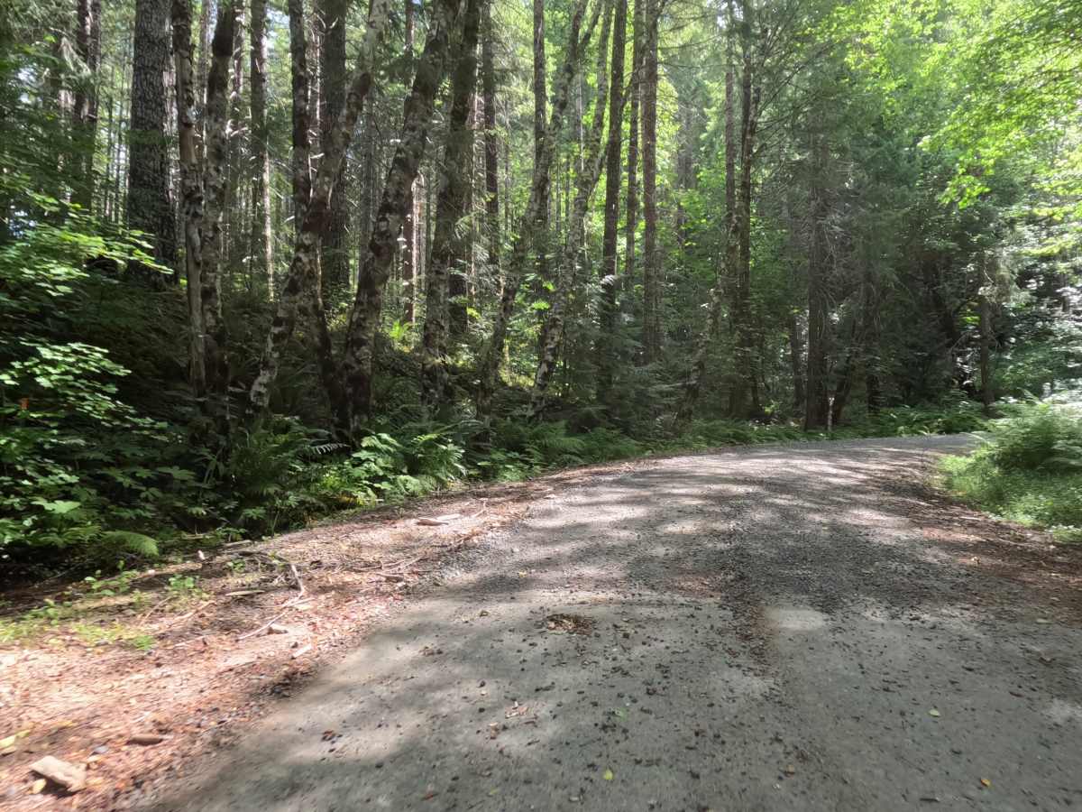 Fox Creek Ridge - FS 4698 trail photo