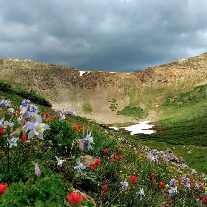 Near Shelf Lake Trail #634