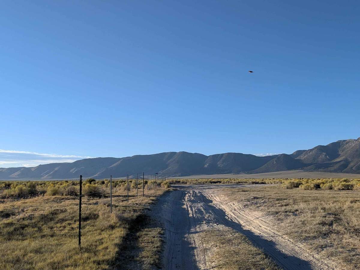 South Owens River Access photo 3