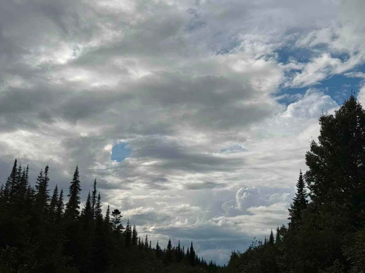 Chemin Rexfor photo 2