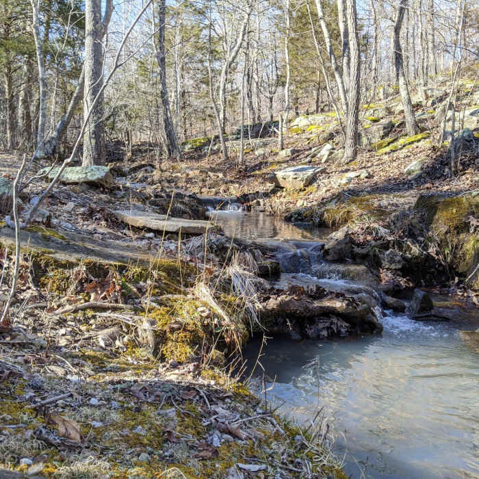 Initial creek crossing on north trail. Near Big Piney Loop Hike Via Cutoff