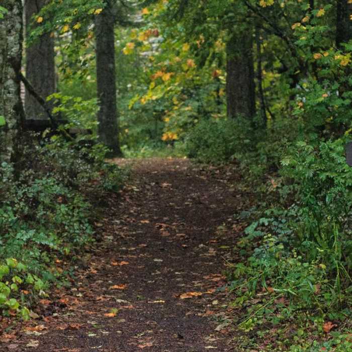 Near Little Hamilton Mountain Hike