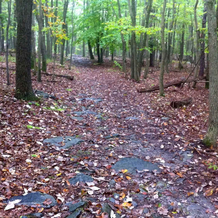This is Where I Ran Into My Friend Near Thurmont Vista Trail
