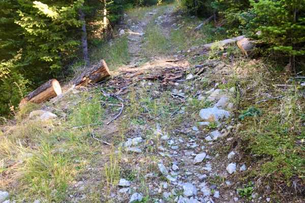 Overwhich Creek ATV Trail