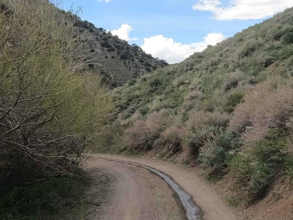 Big Creek Road - NF-012 photo 4