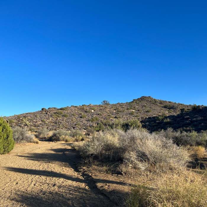 Near Ryan Campground to Lost Horse Mountain