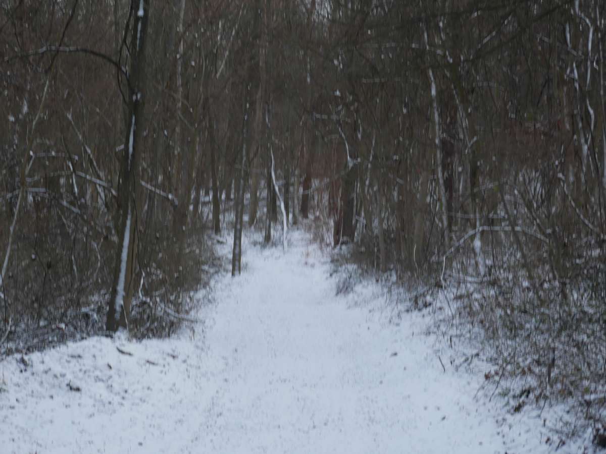 Trail 14 photo 4