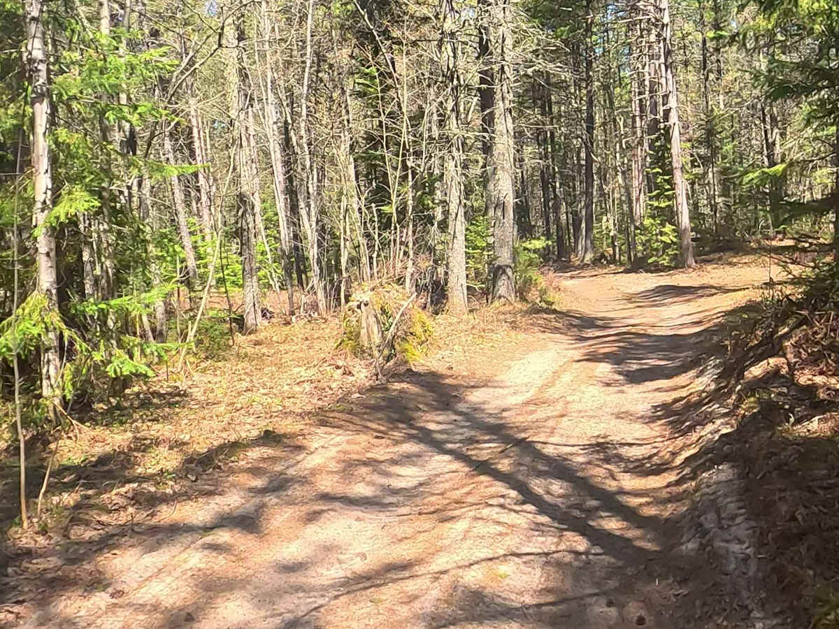 N Doe Lake Road photo 2