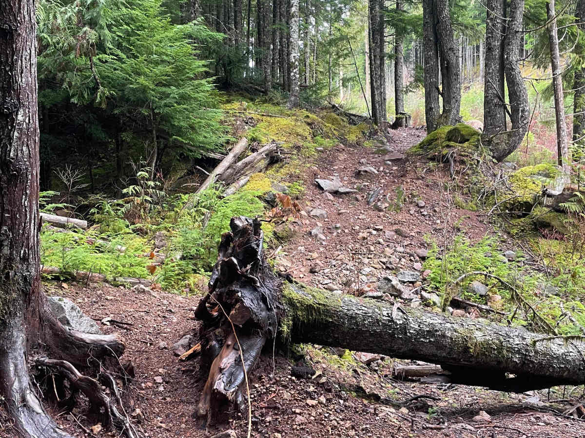 Side 2 trail photo
