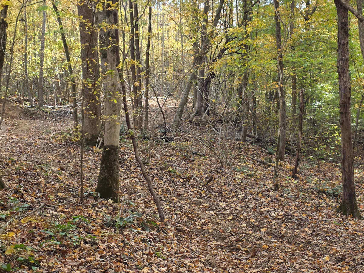 Cave Hollow Road photo 3