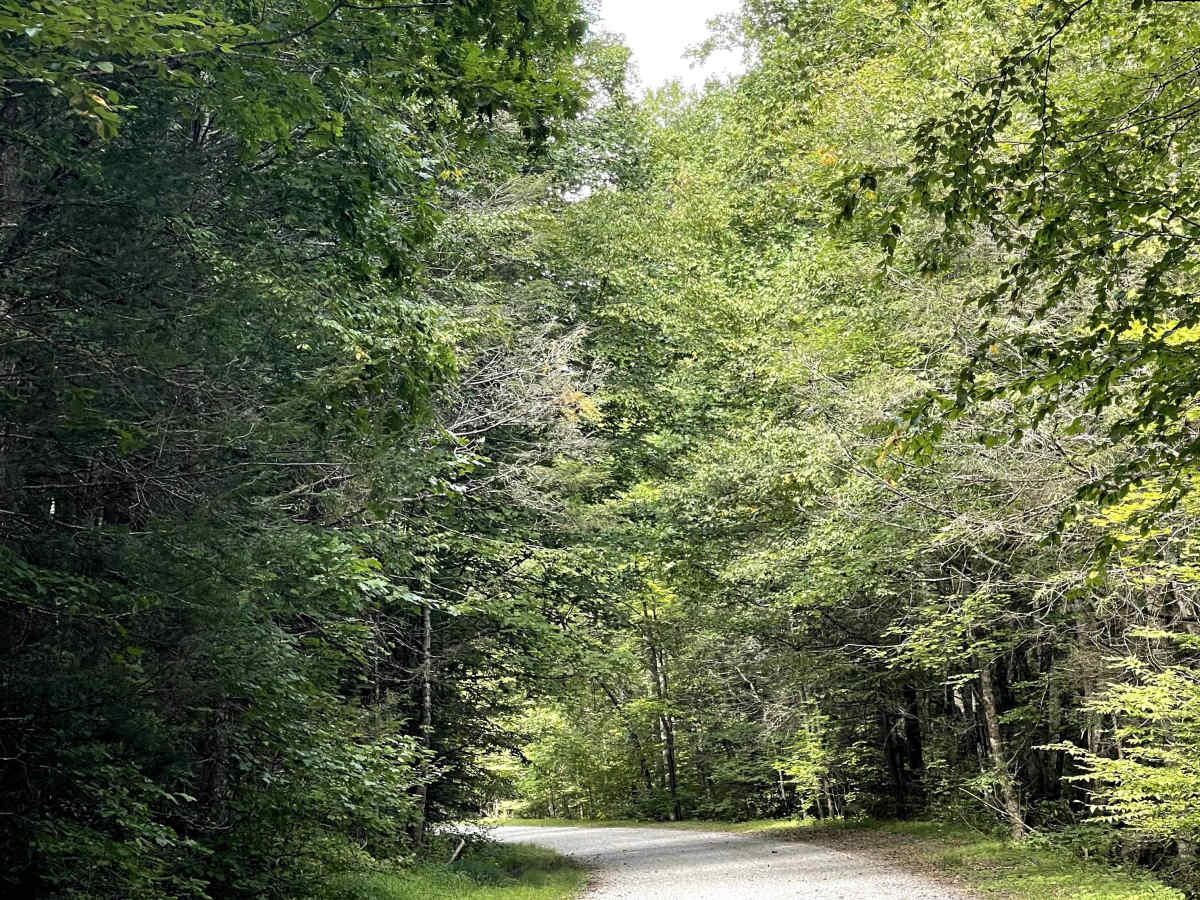 White Rocks Campground photo 2