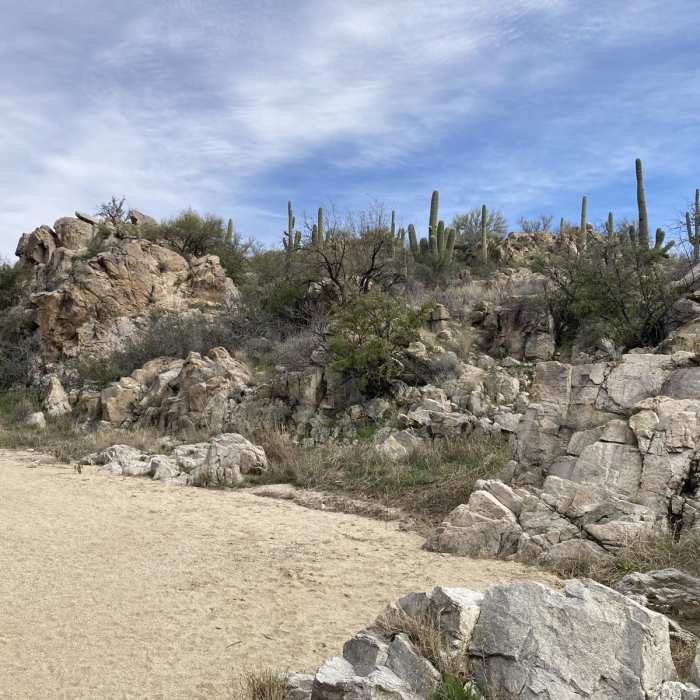 Near Honey Bee Canyon Petroglyphs Trail Near Honey Bee Canyon Petroglyphs Trail
