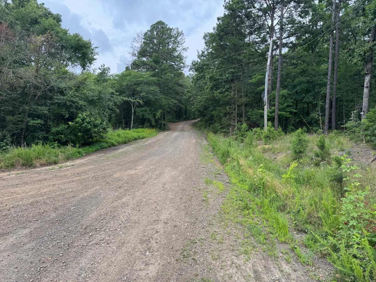 Low Bridge Road trail photo