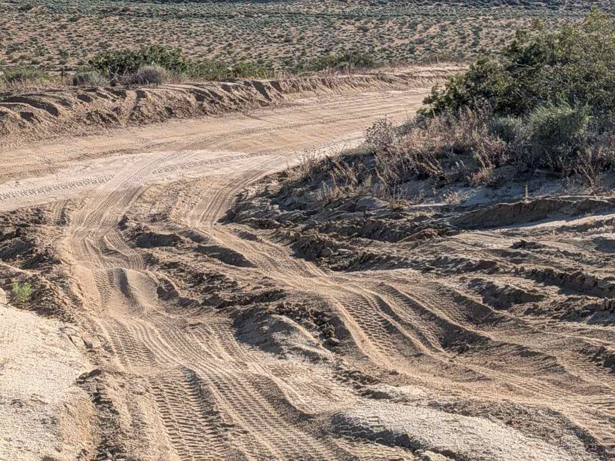 BLM SE143 photo 5