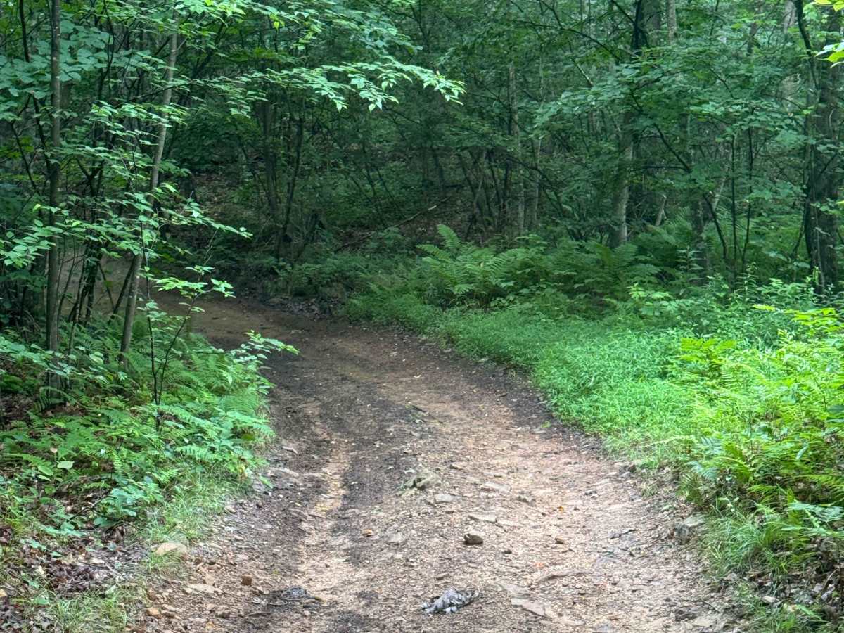Trail 57 photo 3