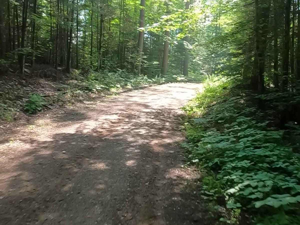 Little Black River - FSR 2233 photo 2