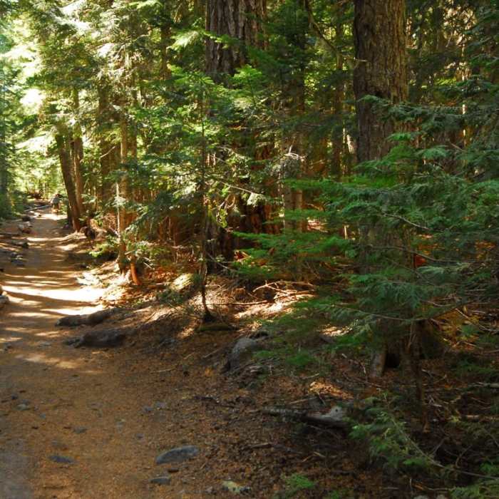 Near Emmons Moraine Trail Near Emmons Moraine Trail