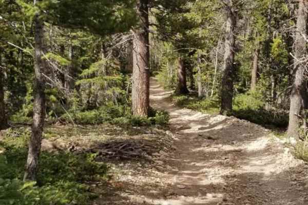 Powell Point Trail