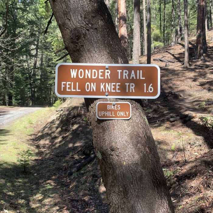 Near Lower Wonder Trail