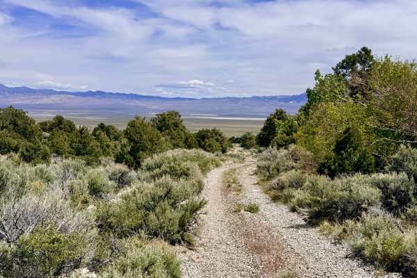 South Twin River - FS 44080