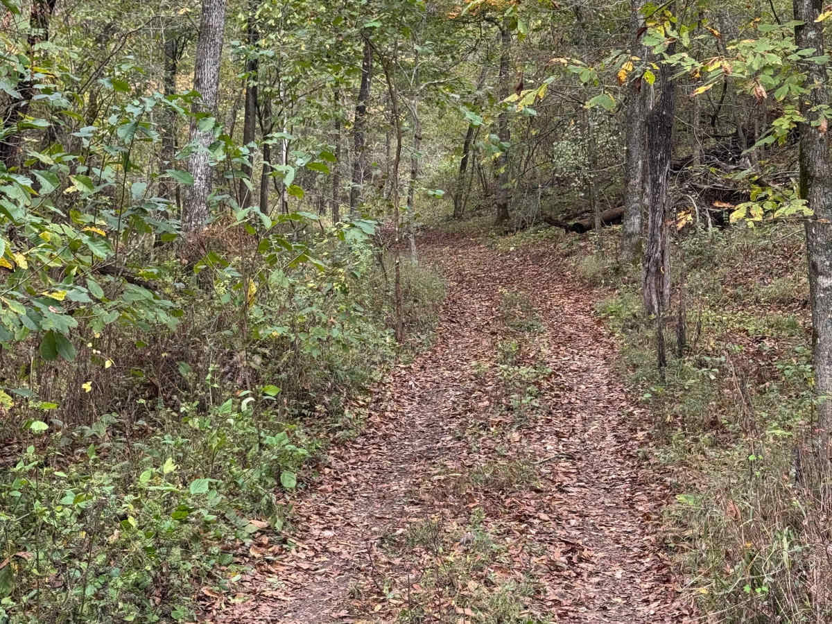 Ranger Smith photo 5
