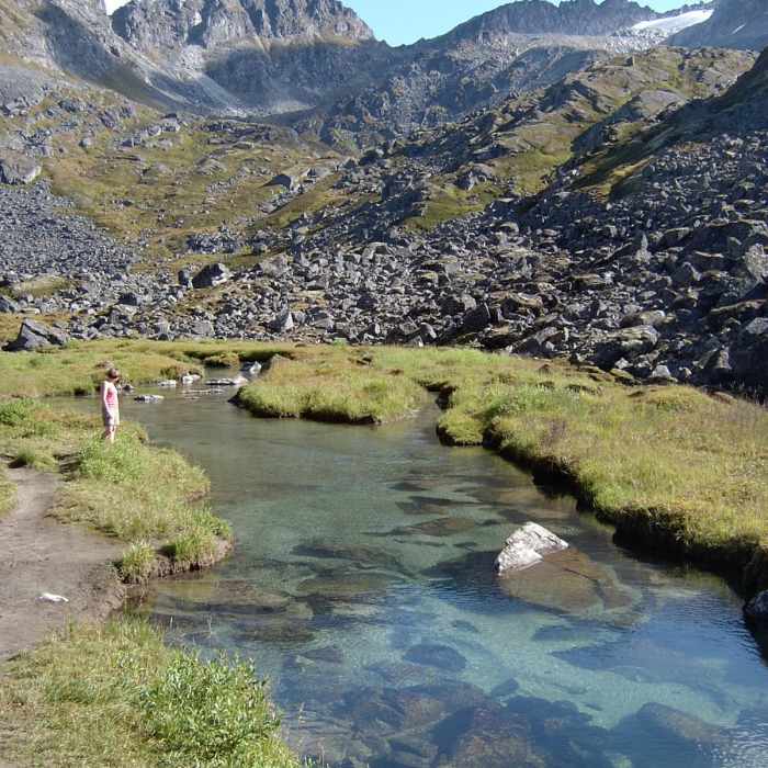 Near Reed Lakes Trail Near Reed Lakes Trail