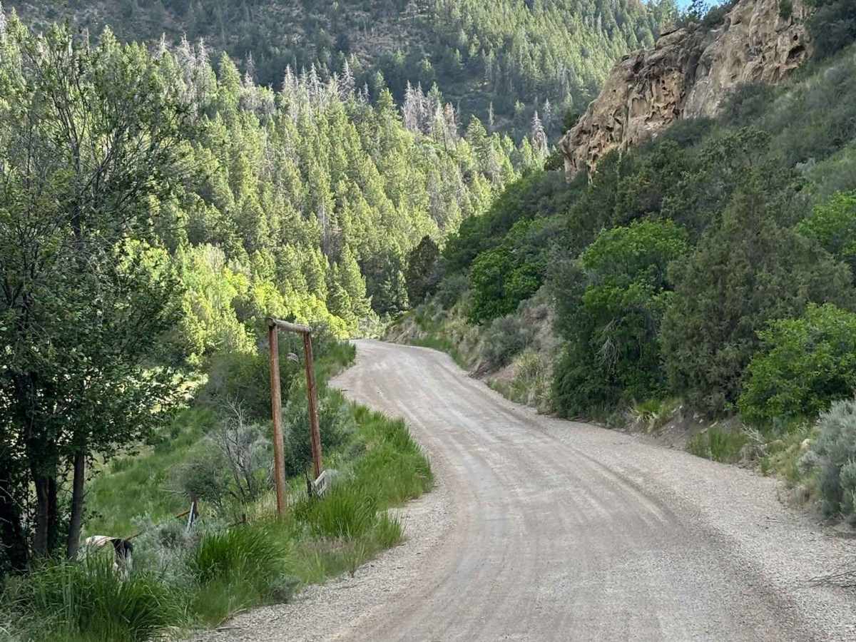 Piceance Creek Road photo 5