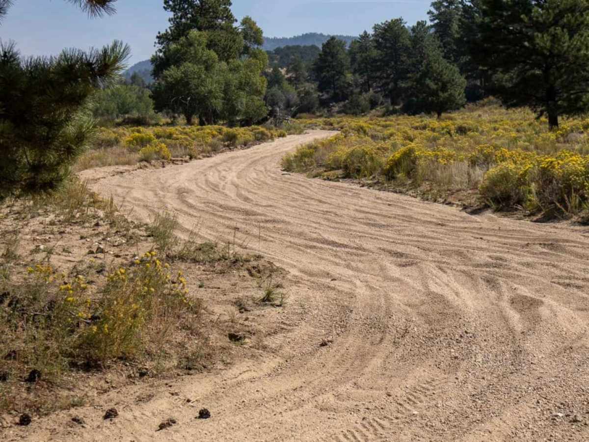 Arnold Gulch photo 3