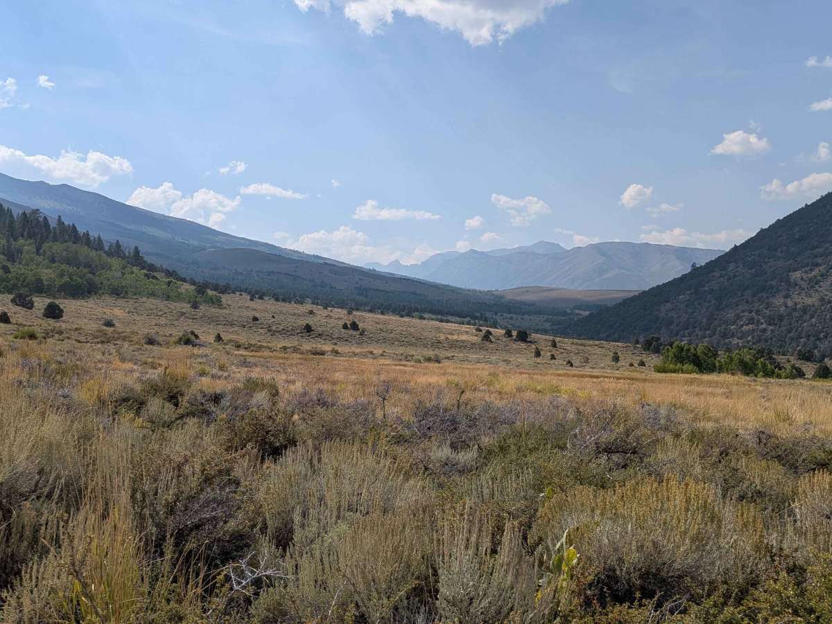 Cameron Canyon photo 4