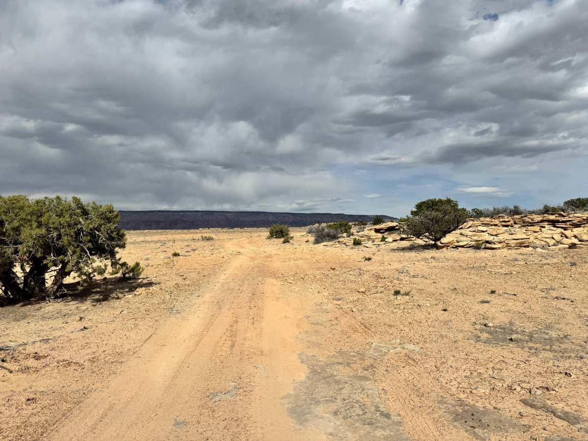 East Wedge photo 4