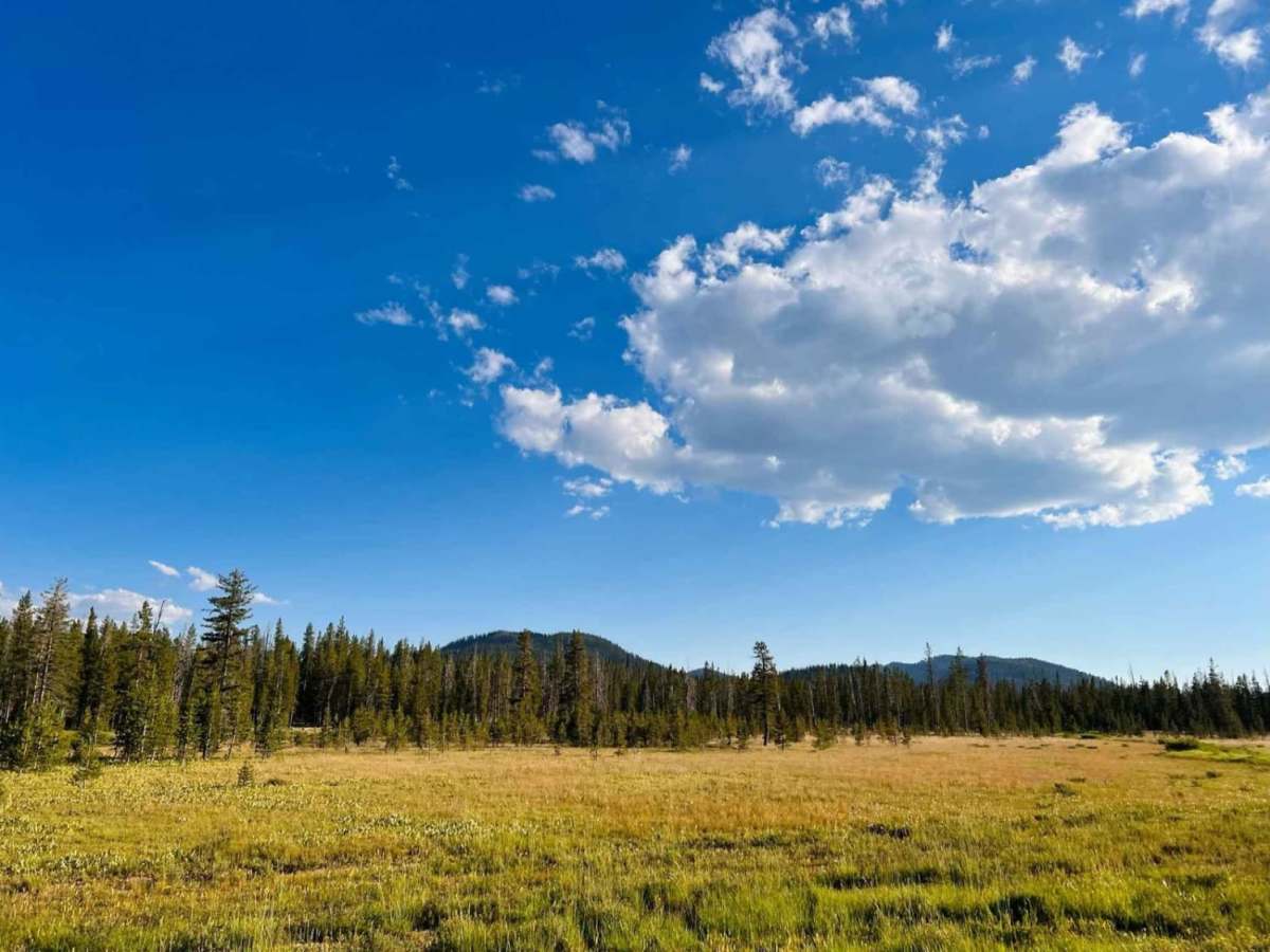 Bull Trout Lake photo 4