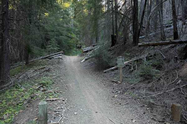 McCall Creek OHV #49 