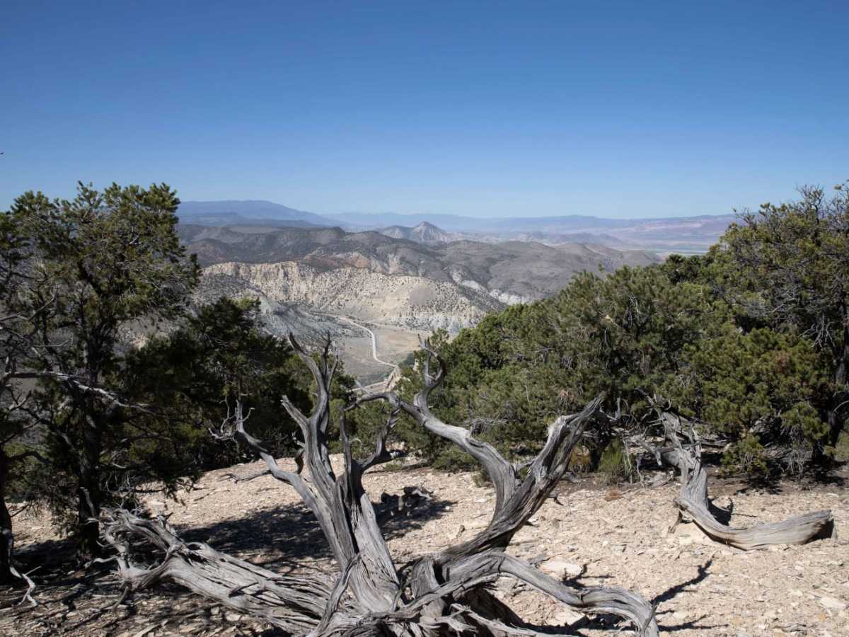 Cedar Mountain East Ridge trail photo