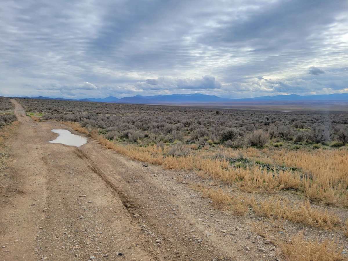 Pack Trail 1 photo 4