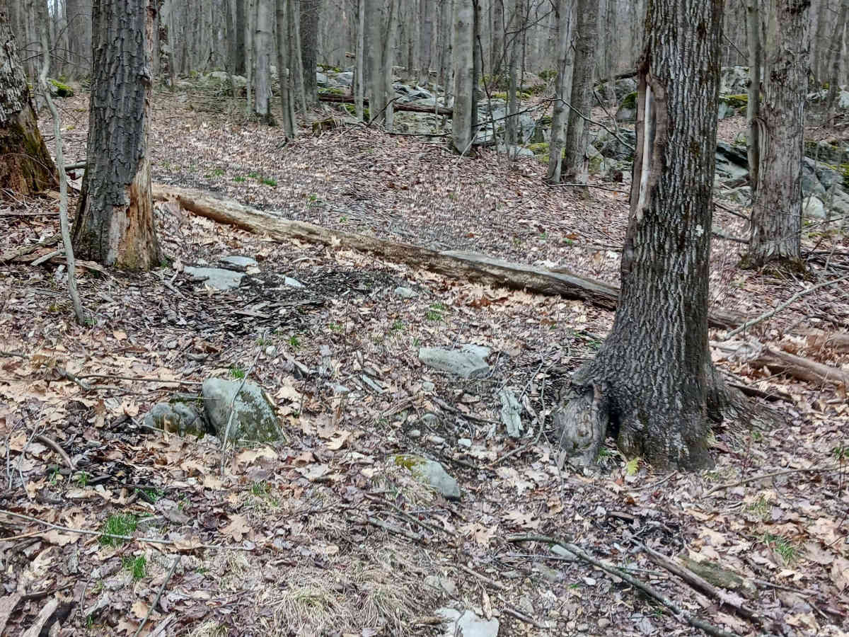 OHV 63 - Rock Run Recreation Area photo 4