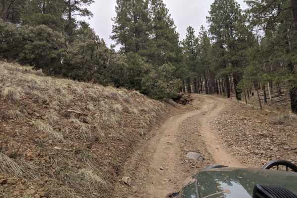 Old 190 Kendrick Trailhead
