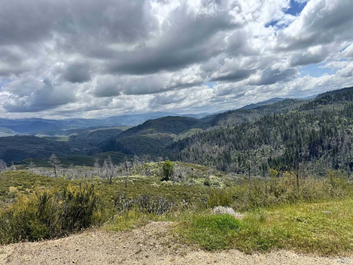 Packsaddle - FS 18N25 photo 4