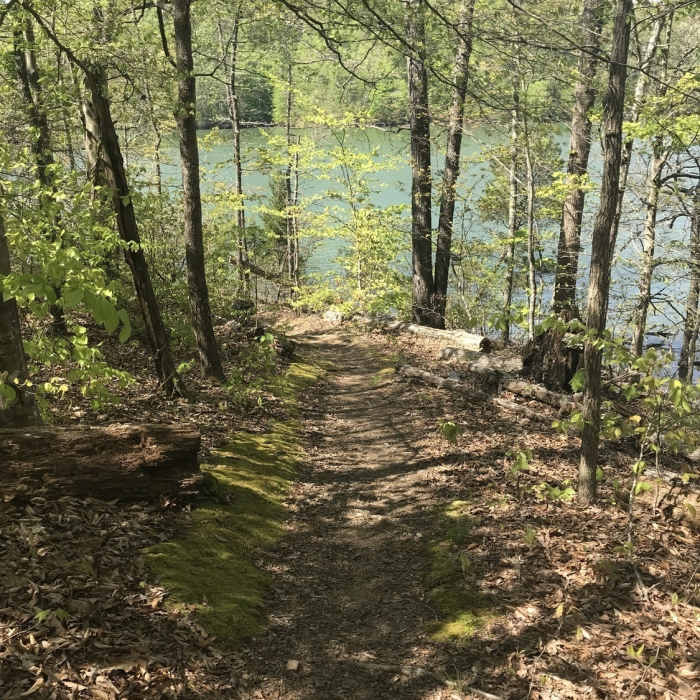 Dark hollow trail Near Big Ridge State Park Tour
